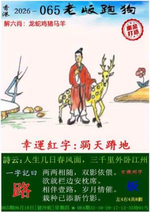 第2026065期图库