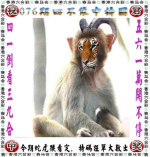 第2026076期图库