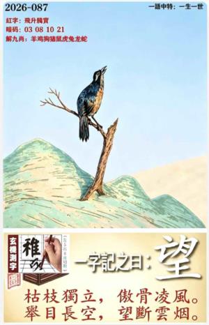 第2026087期图库