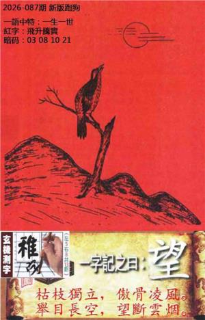 第2026087期图库
