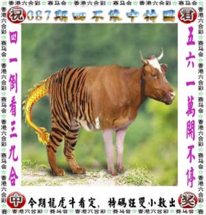 第2026087期图库