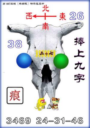 牛头报