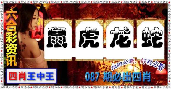 六合彩咨讯
