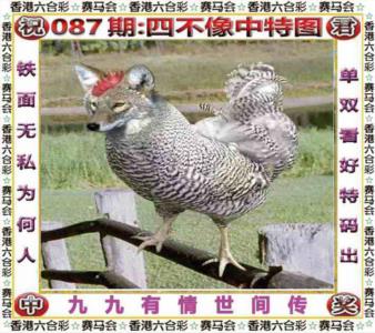 四不像中特图