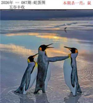 正版蛇蛋图