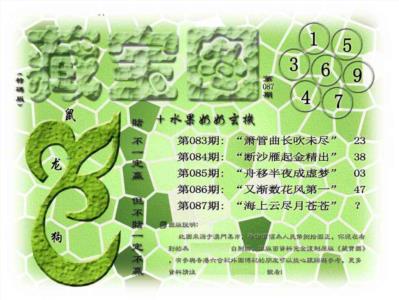 藏宝图(正版)