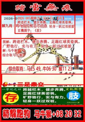 踏雪无痕解跑狗
