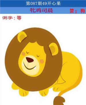 四九开心果
