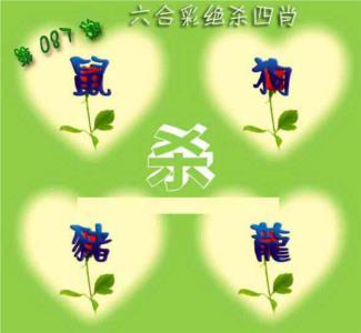 赛马会绝杀四肖
