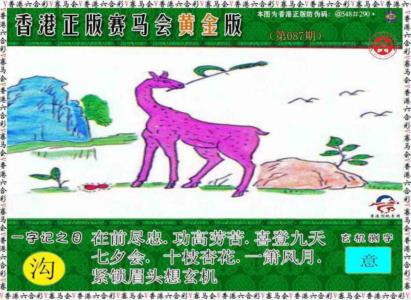赛马会黄金版
