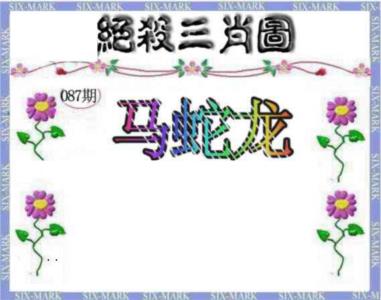 生财有道杀三肖