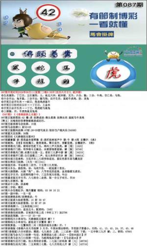 马会挂牌