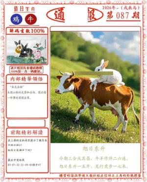 正版通天报(会员版)
