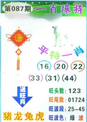 一肖爆特