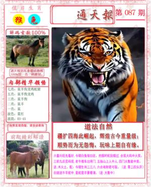马经通天报