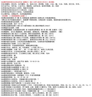 九龙挂牌全篇