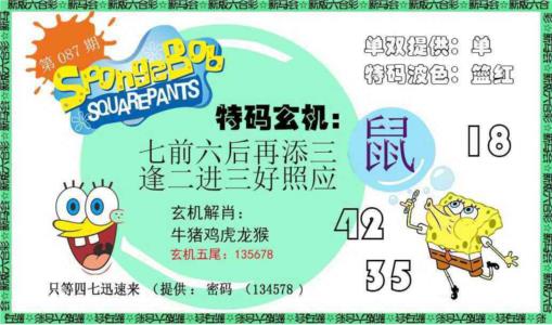 新特码玄机