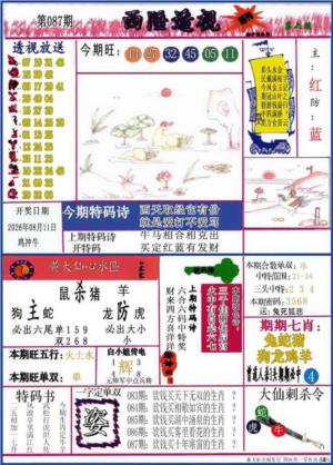 西陲透视(正版)
