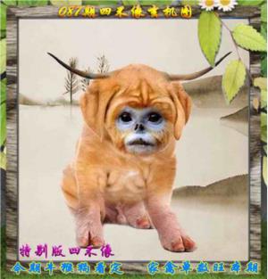 四不像特别版