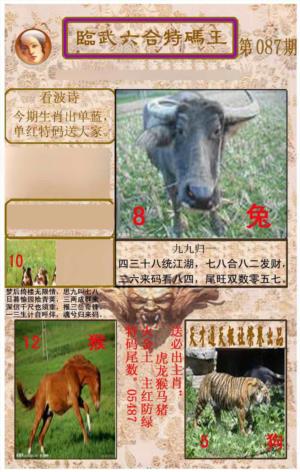 临武六合特码王