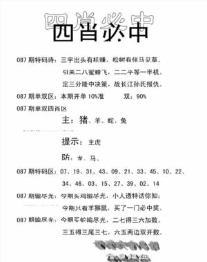 四肖中特(新)