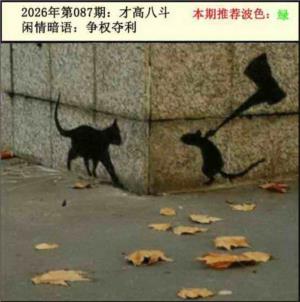 今日闲情2