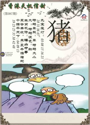 天机信封