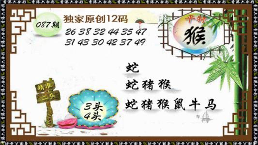 独家原创12码