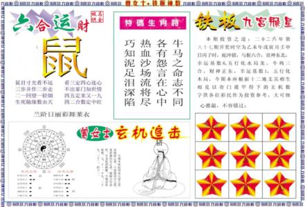 曾女士铁板神数B