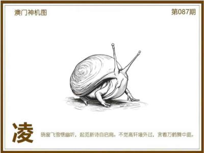 澳门神机图