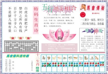 马会财经B