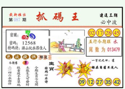抓码王