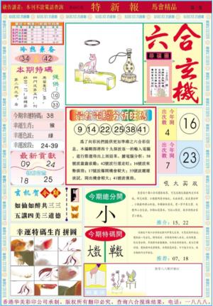 特新报A
