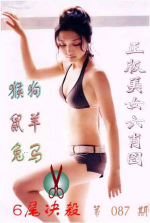 美女六肖图B