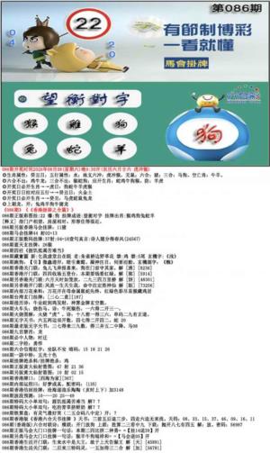 马会挂牌