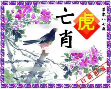 神鸟版