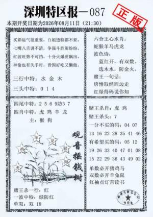 深圳特区报A