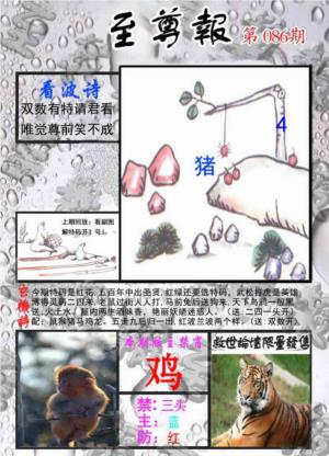 至尊报