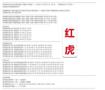 红虎综合资料