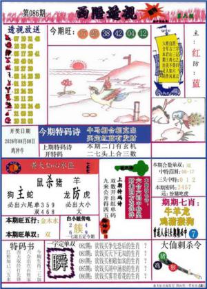西陲透视(正版)
