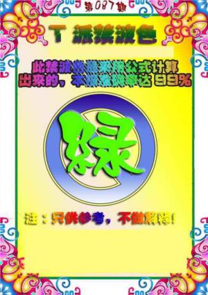 T派禁波色