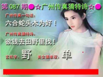 广州传真中特诗