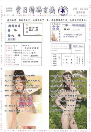 当日特码玄机-2