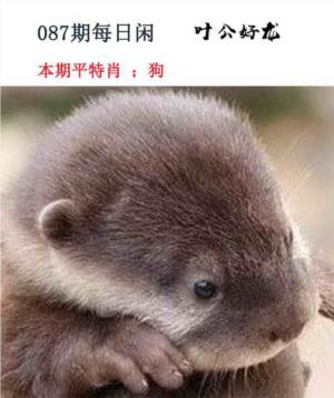 每日闲情