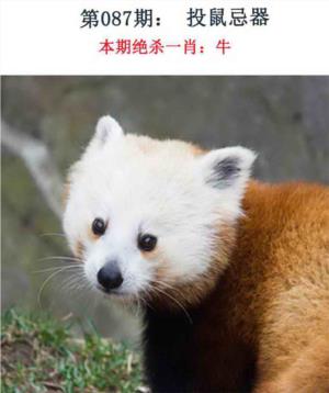 金钱豹自有真功夫