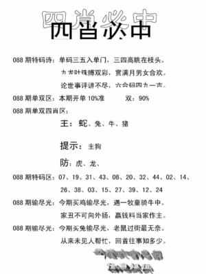 四肖中特(新)