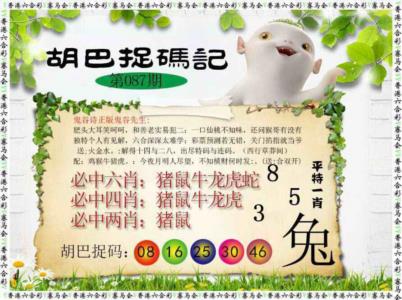 胡巴抓码记