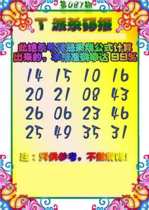 T派杀码报