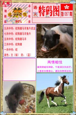 特码图