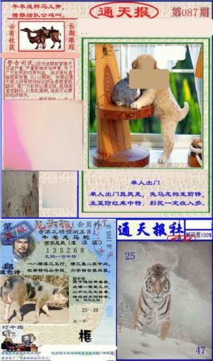 实力通天报